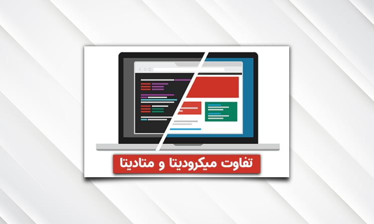 میکرودیتا